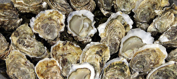 La fraîcheur et la qualité des crustacés et fruits de mer et des huîtres